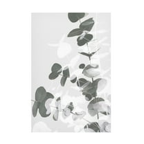 1x Studio III 'Eucalyptus Creative 09' Canvas Art