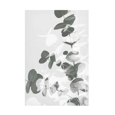 1x Studio III 'Eucalyptus Creative 09' Canvas Art