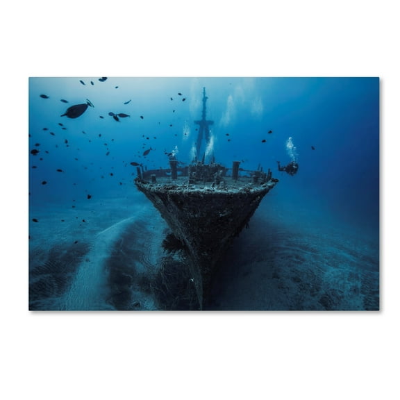 Barathieu Gabriel 'Hai Siang Wreck' Canvas Art