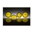 thumbnail image 1 of Wieteke de Kogel 'Lemon' Canvas Art, 1 of 4