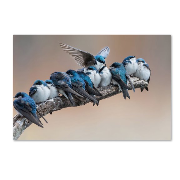 Cheng Chang 'No Room No Problem' Canvas Art