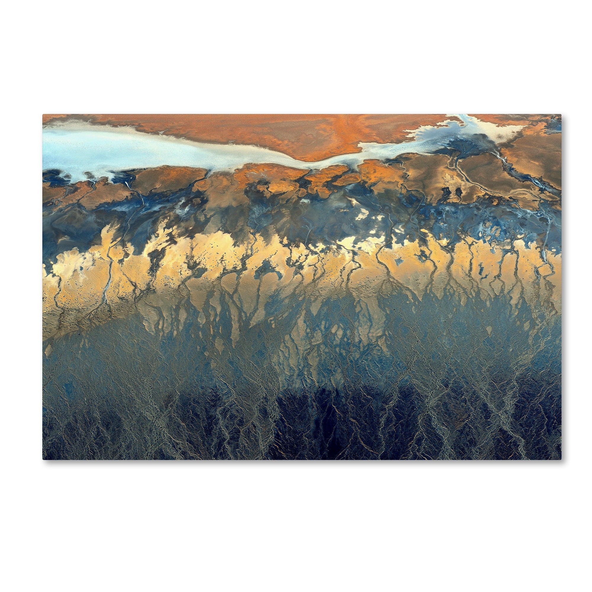 Tanja Ghirardini California Aerial Abstract Landscape Canvas Print