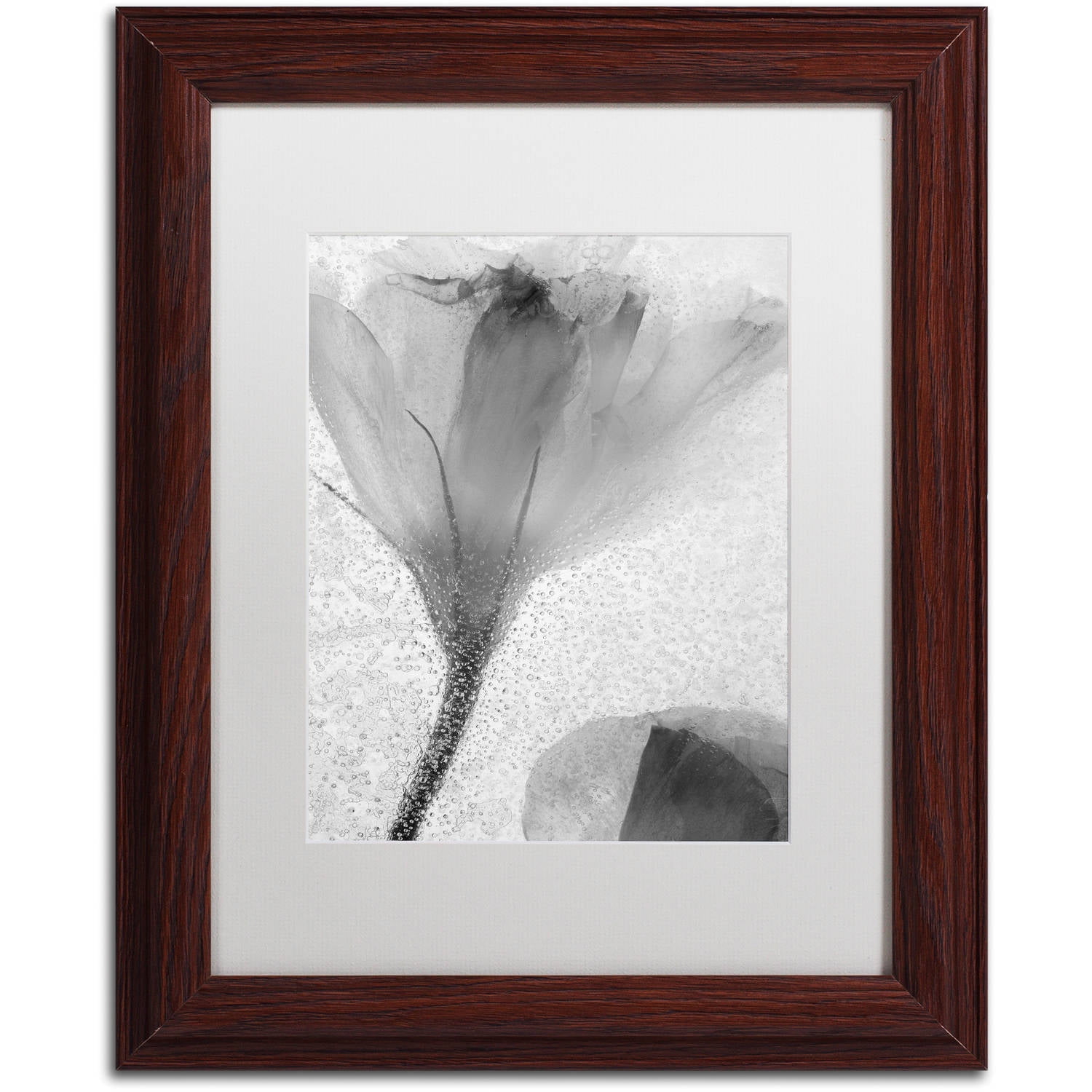 Moises Levy 'Flowers on Ice-13' Matted Framed Art