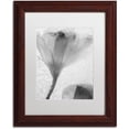 thumbnail image 1 of Moises Levy 'Flowers on Ice-13' Matted Framed Art, 1 of 5