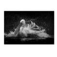 thumbnail image 1 of C S Tjandra 'Bath' Canvas Art, 1 of 3