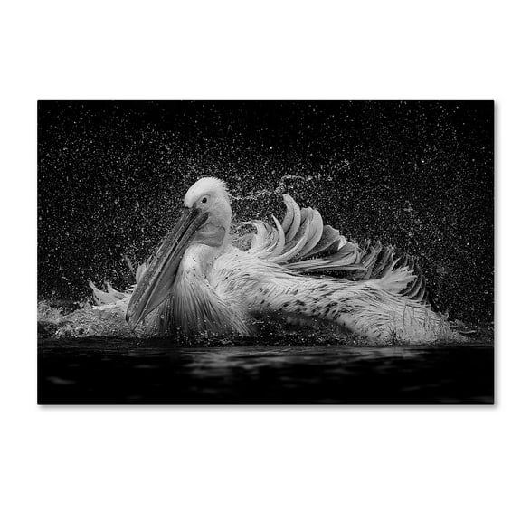 C S Tjandra 'Bath' Canvas Art