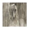 thumbnail image 1 of Albena Hristova 'Shadow Light Gray Horse' Canvas Art, 1 of 4