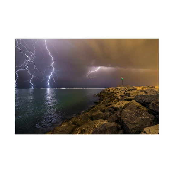 Mehdi Momenzadeh 'When Lightning Strikes' Canvas Art