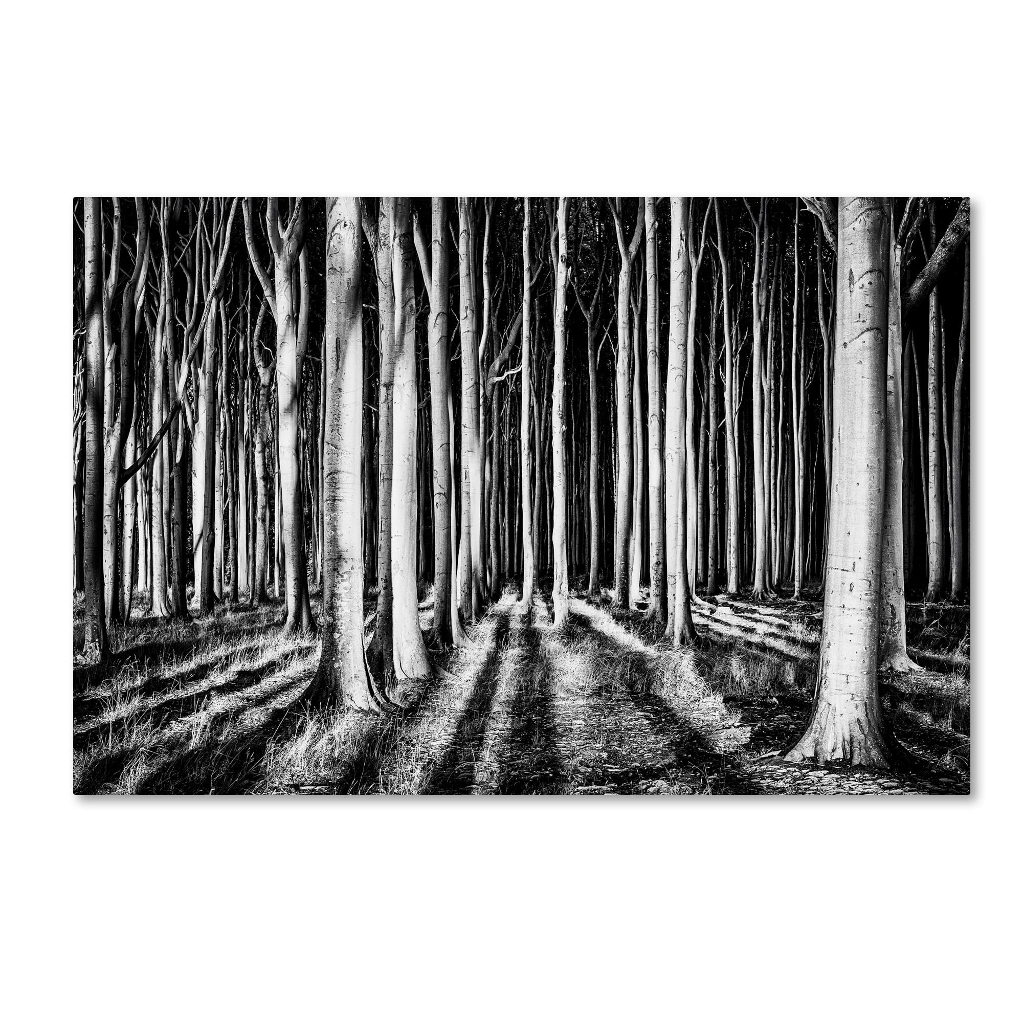 Pixxelpark 'Ghost Forest' Canvas Art