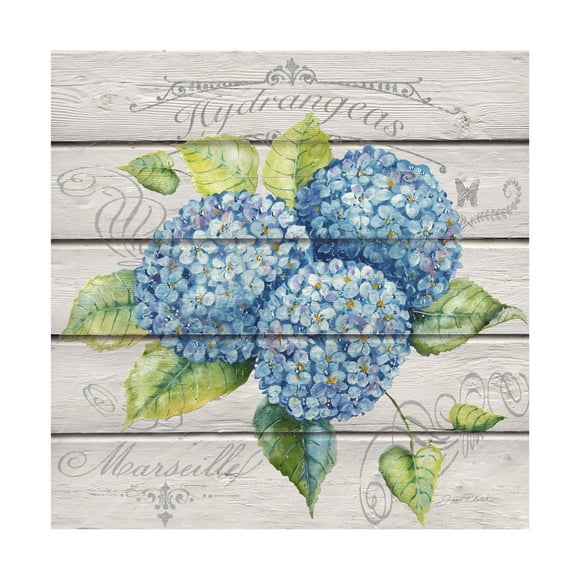 Trademark Fine Art Jean Plout Blue Hydrangeas Canvas Wall Art - 14x14