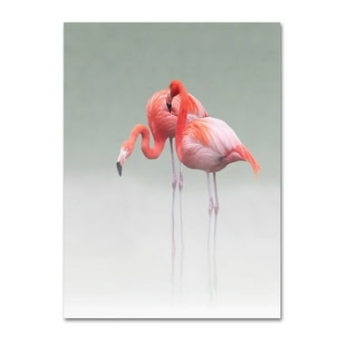 Anna Cseresnjes 'Just We Two' Canvas Art