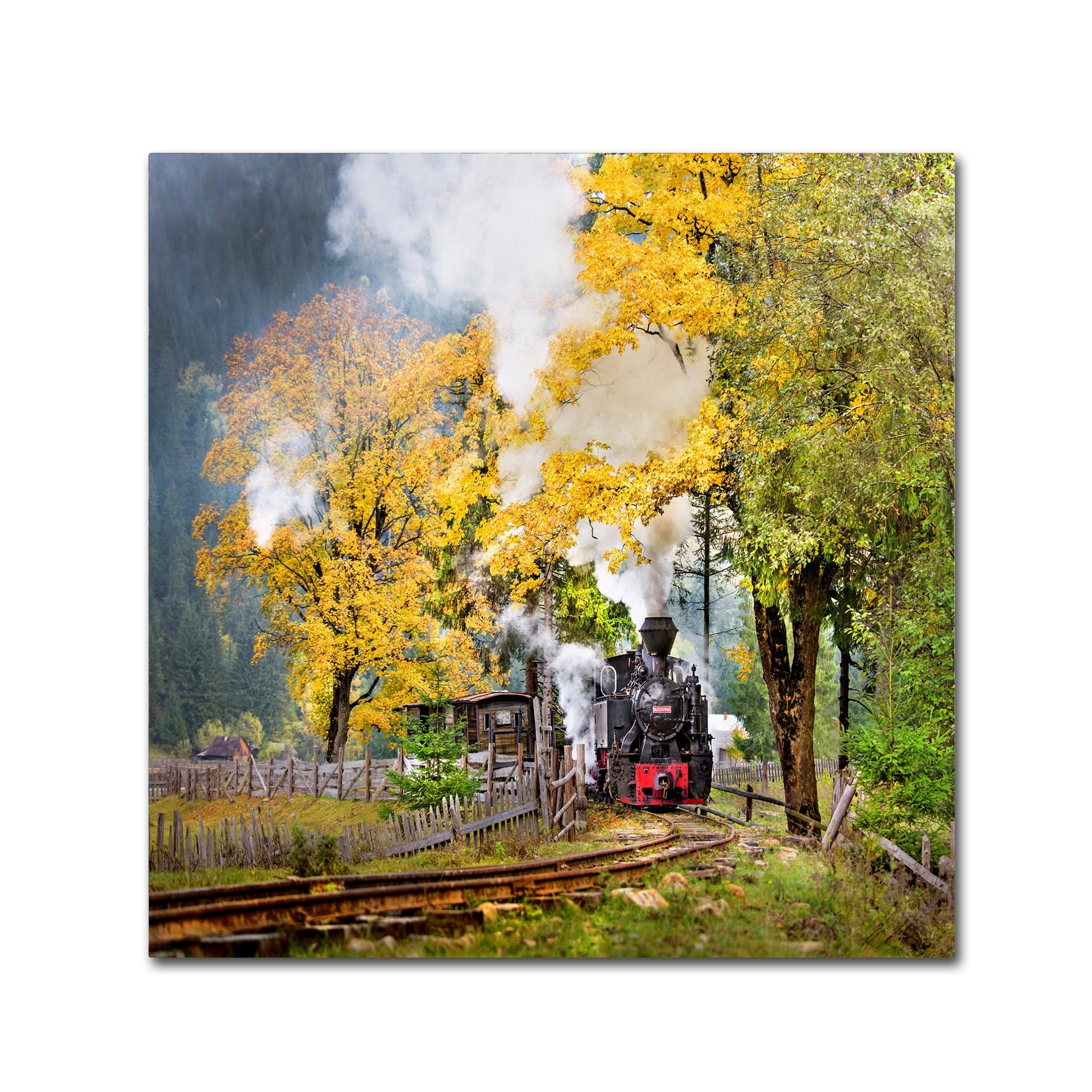 Sorin Onisor 'A Sort Of Fairy Tale' Canvas Art