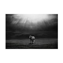 Peter Svoboda 'Morning Appearance' Canvas Art