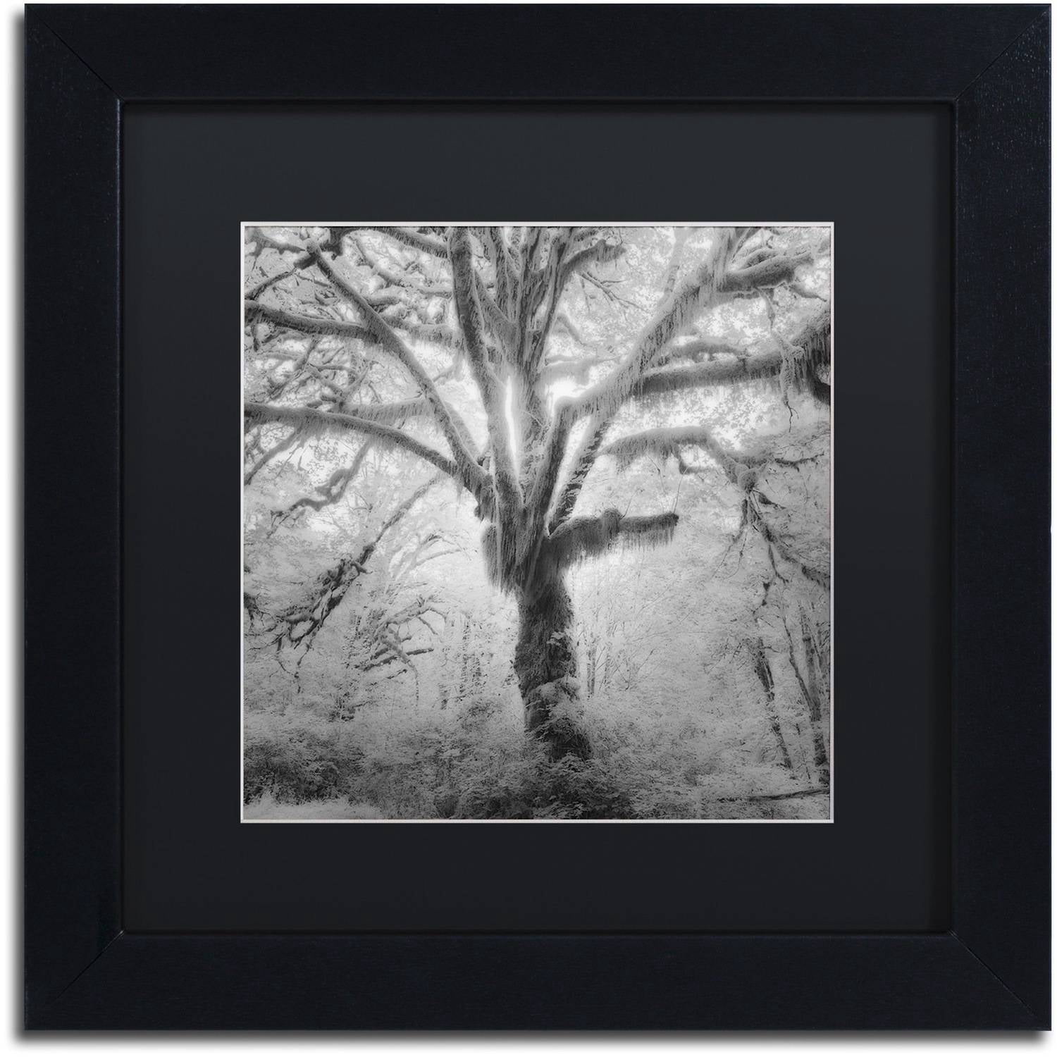 Moises Levy 'Lightning Tree II' Black Matted Framed Art