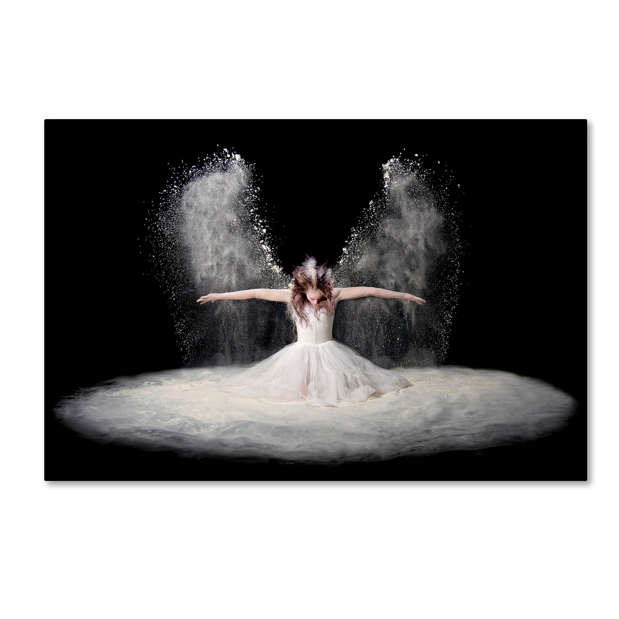 Pauline Pentony Ba 'Dust Wings' Canvas Art
