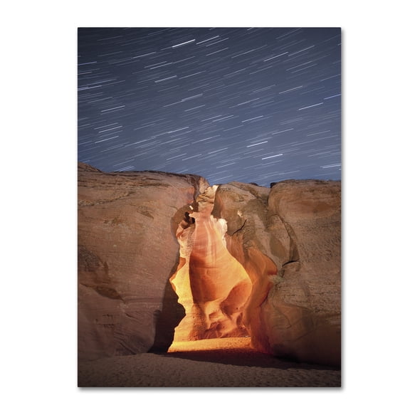 Moises Levy 'Flame' Canvas Art