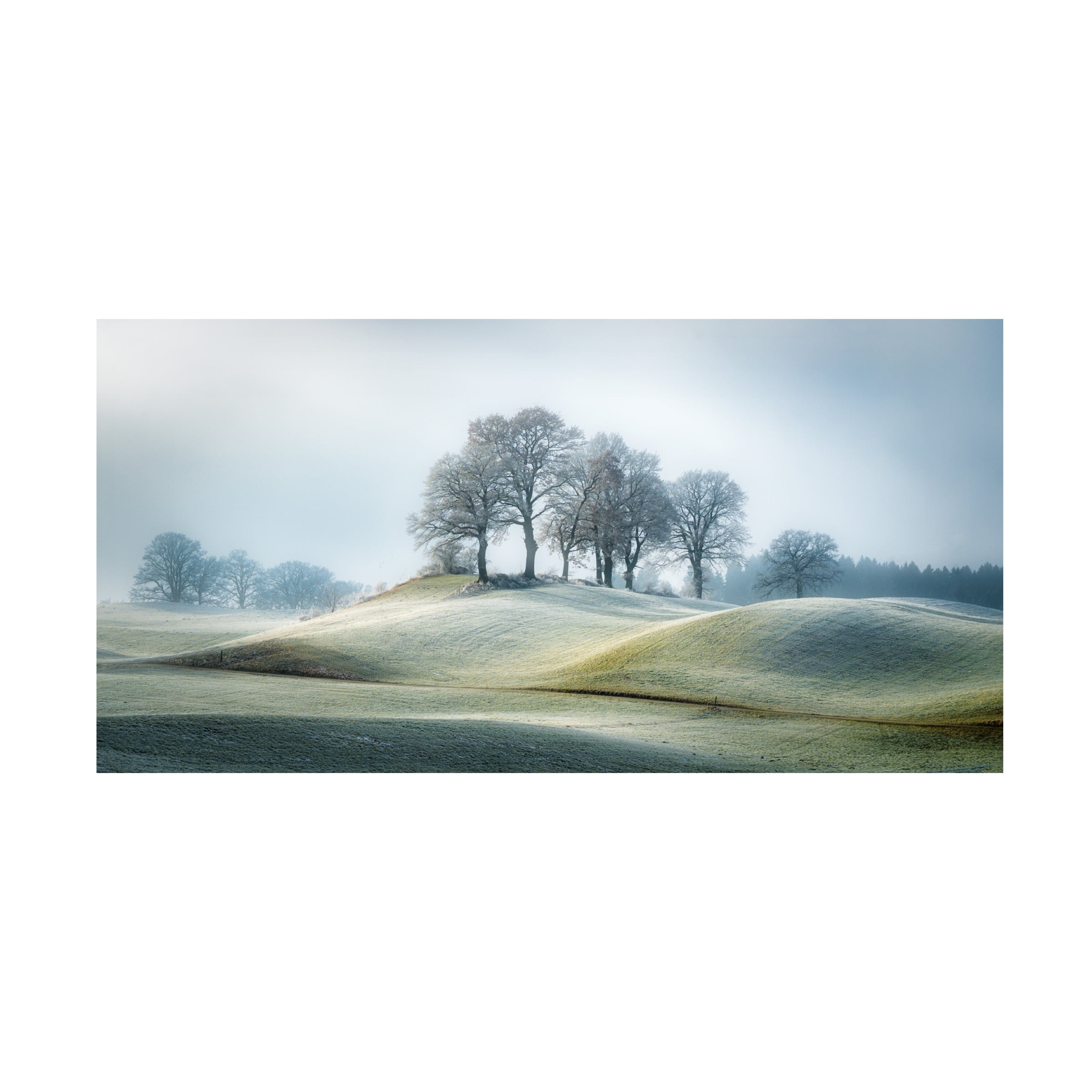 Ulrike Eisenmann 'It Is Not In Tuscany' Canvas Art