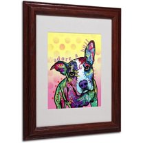 Matted art under acrylic in a wood frame