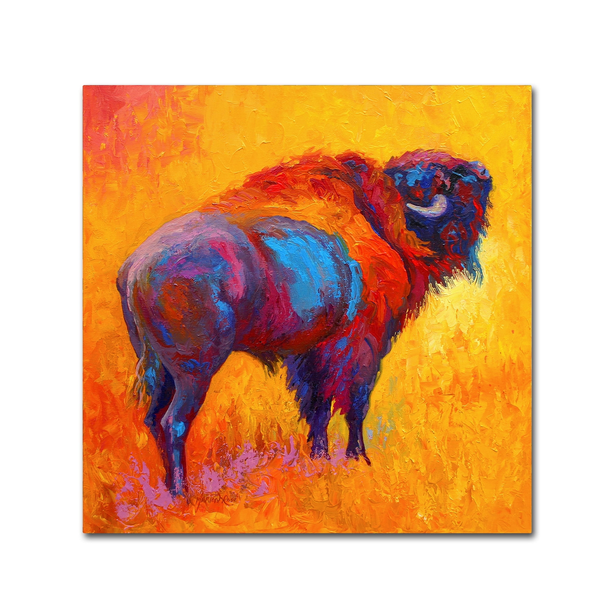 Marion Rose 'Something In The Air' Canvas Art