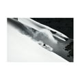 thumbnail image 1 of Jakob Sanne 'Cloud Of Snow' Canvas Art, 1 of 4