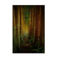 thumbnail image 1 of Rui Caria 'Forest' Canvas Art, 1 of 4