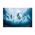 thumbnail image 1 of Trademark Fine Art Davide Lopresti Swim Canvas Wall Art - 22x32, 1 of 5