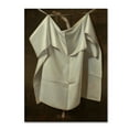 thumbnail image 1 of Raphaelle Peale 'Venus Rising From The Sea A Deception' Canvas Art, 1 of 3