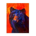 thumbnail image 1 of Marion Rose 'Thoughtful Black Bear' Canvas Art, 1 of 4