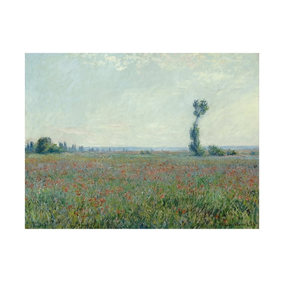 Monet 'Poppy Field' Canvas Art
