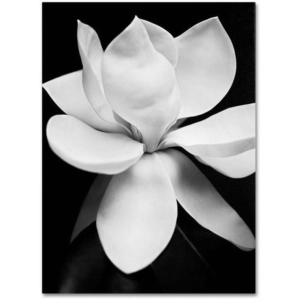 Black and White Magnolia Canvas Print Wall Art, 18 x 24 Inches