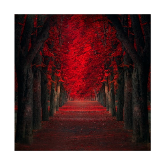 Ildiko Neer 'Endless Passion' Canvas Art