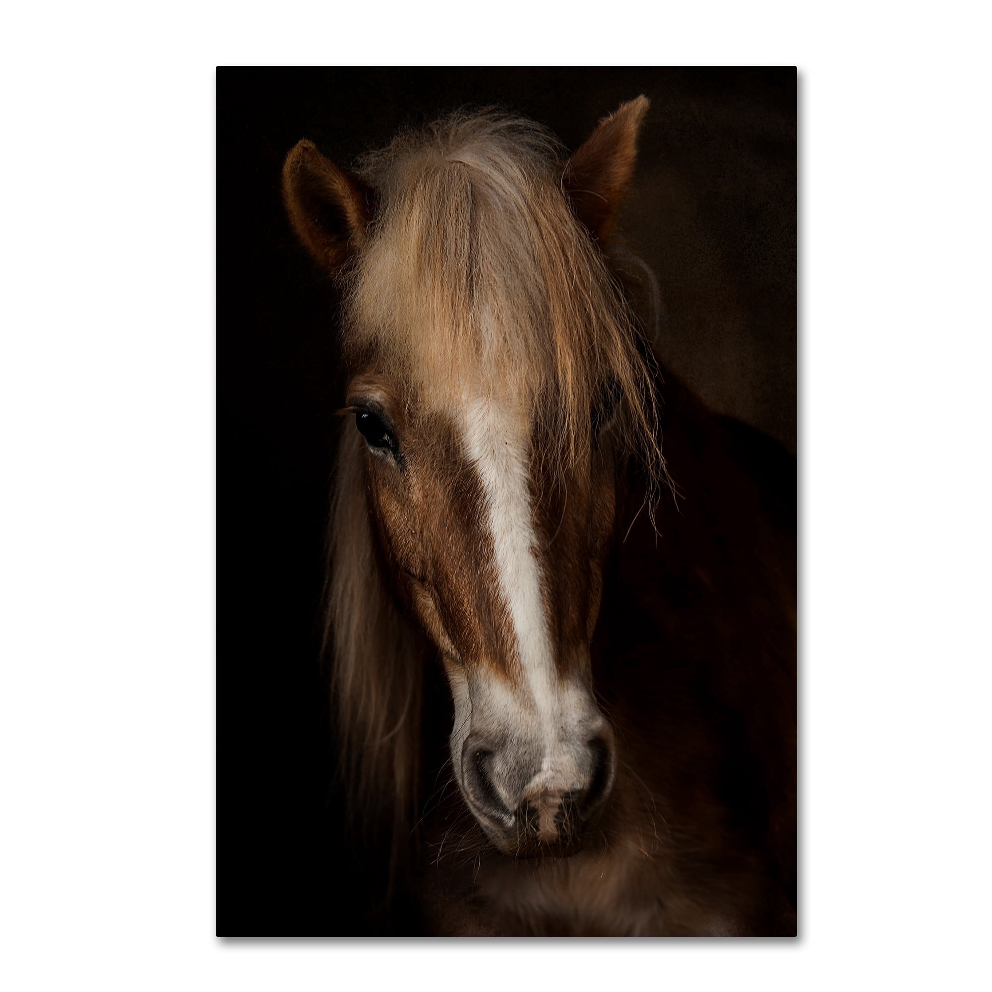 Martine Benezech 'Sapience' Canvas Art