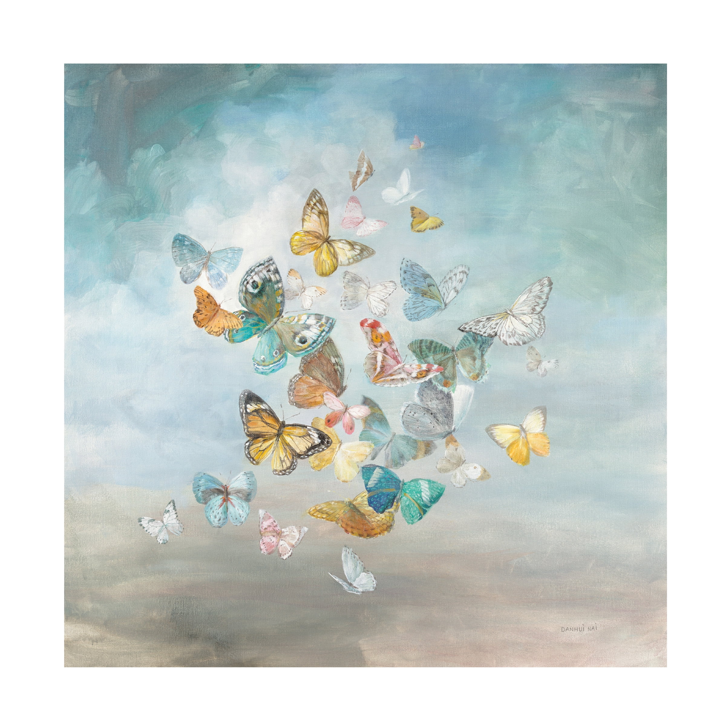 Danhui Nai 'Beautiful Butterflies' Canvas Art