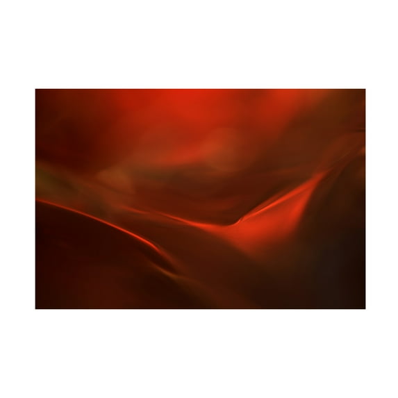Heidi Westum 'The Red Valley' Canvas Art