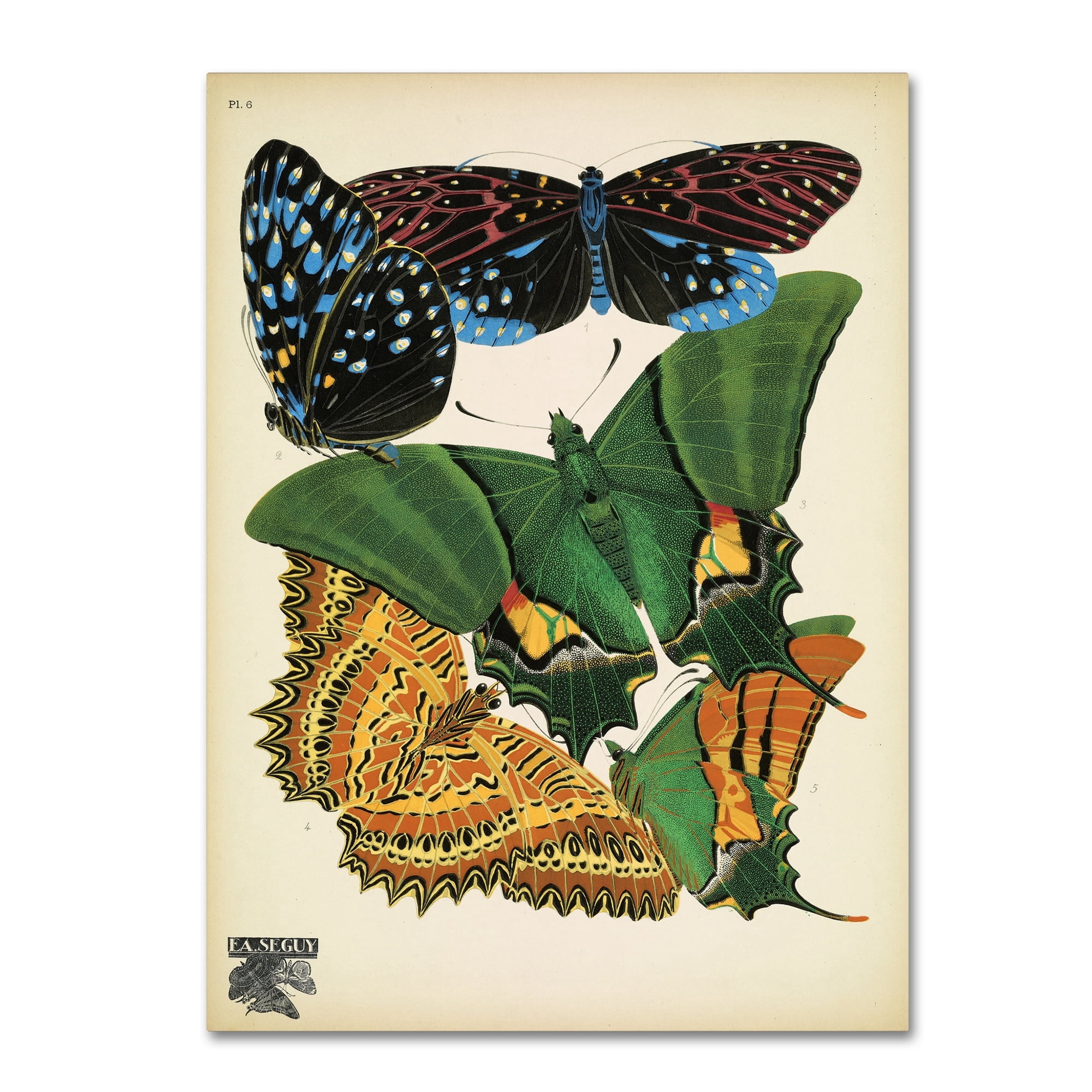 Vintage Apple Collection 'Papillons 6' Canvas Art