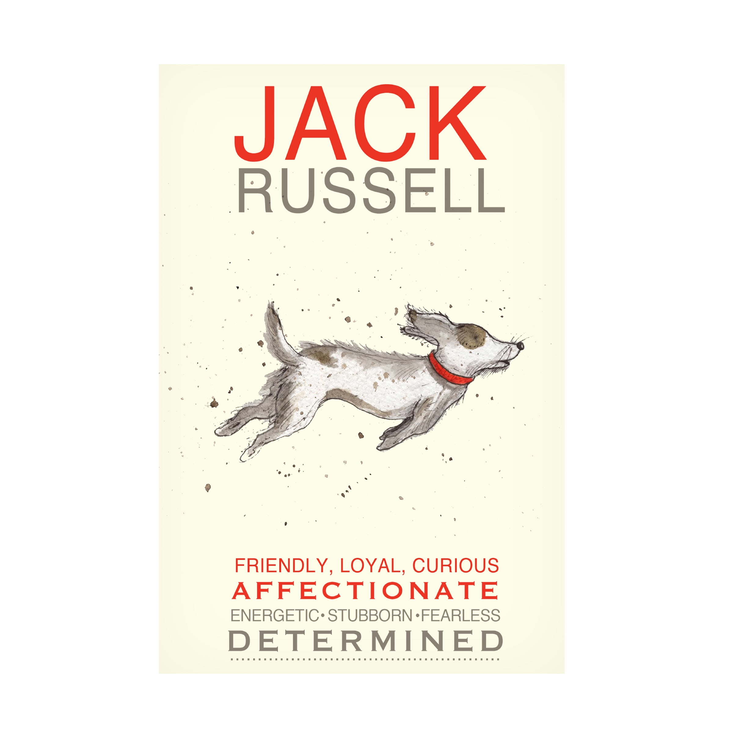 Michelle Campbell 'Jack' Canvas Art