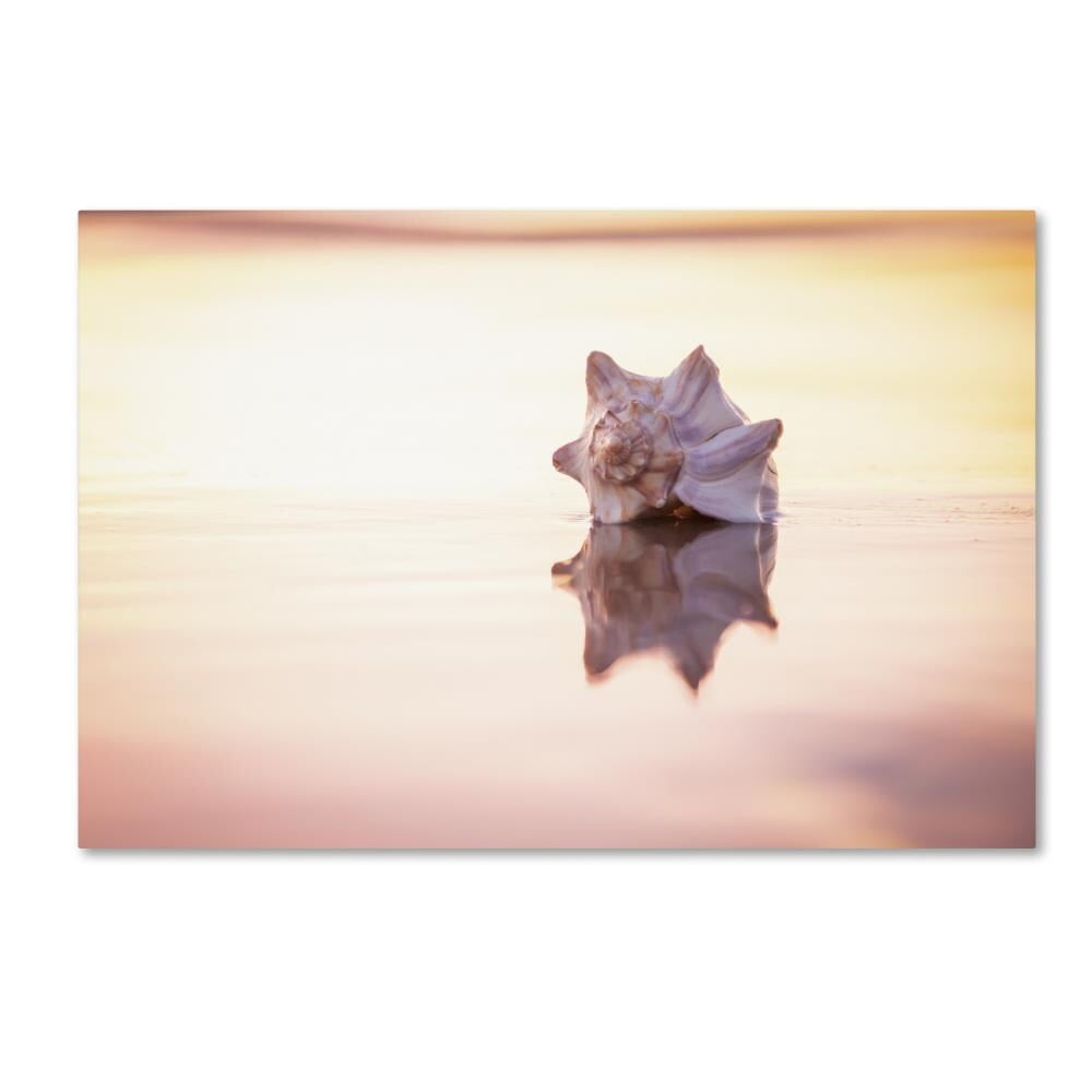 Chris Moyer 'King of the Beach' Canvas Art
