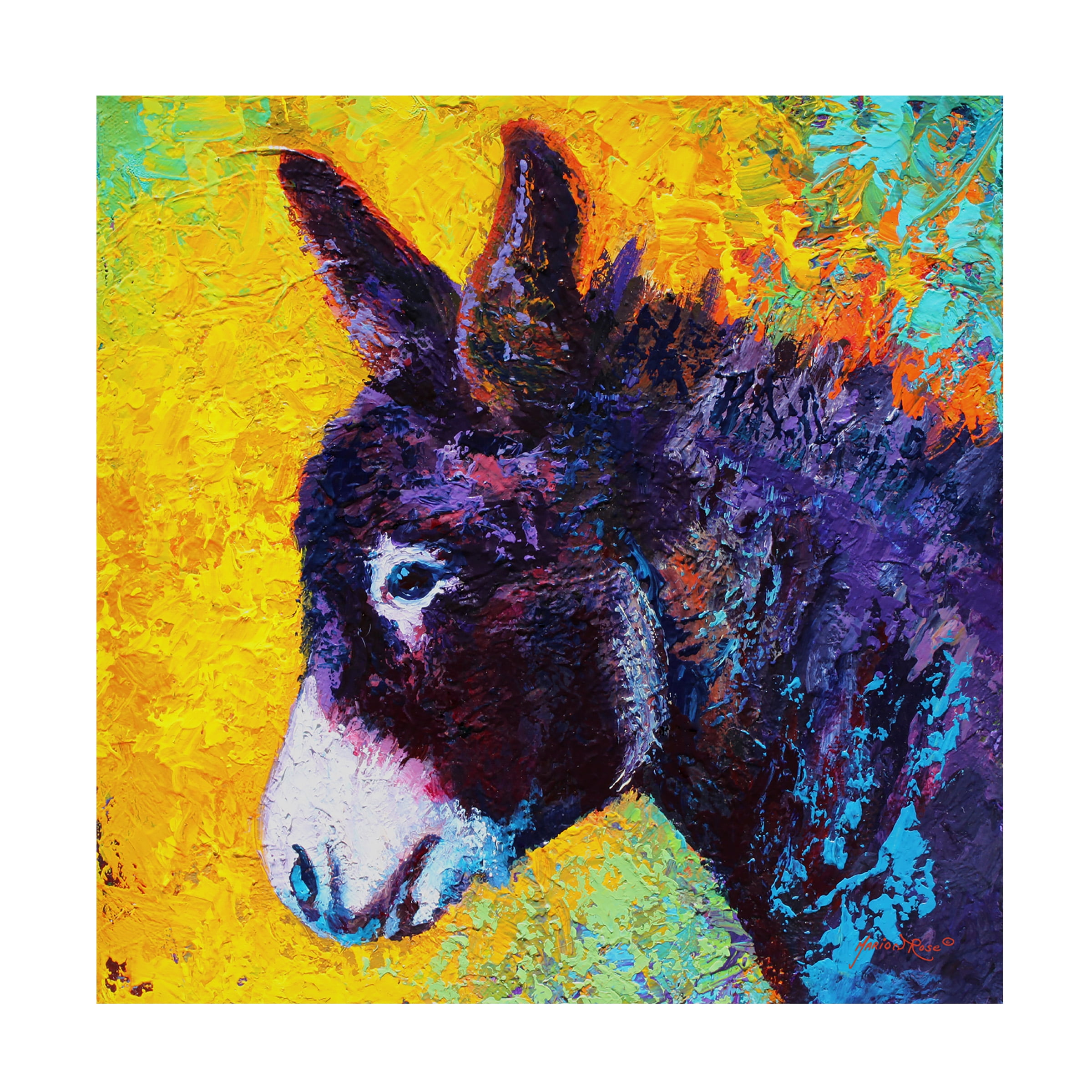 Marion Rose 'Donkey Sparky' Canvas Art