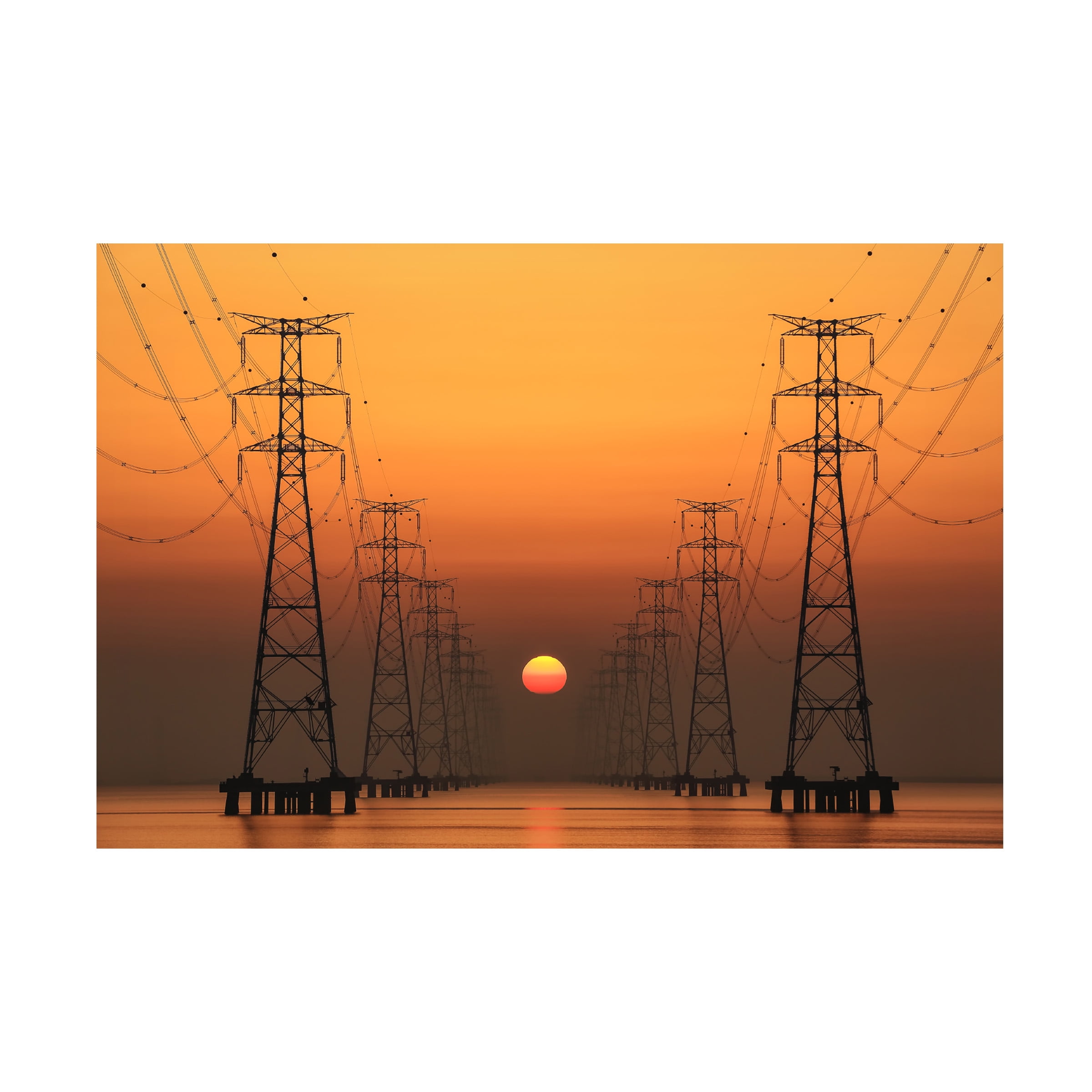 Trademark Fine Art Tiger Seo Power Line Canvas Wall Art - 22x32