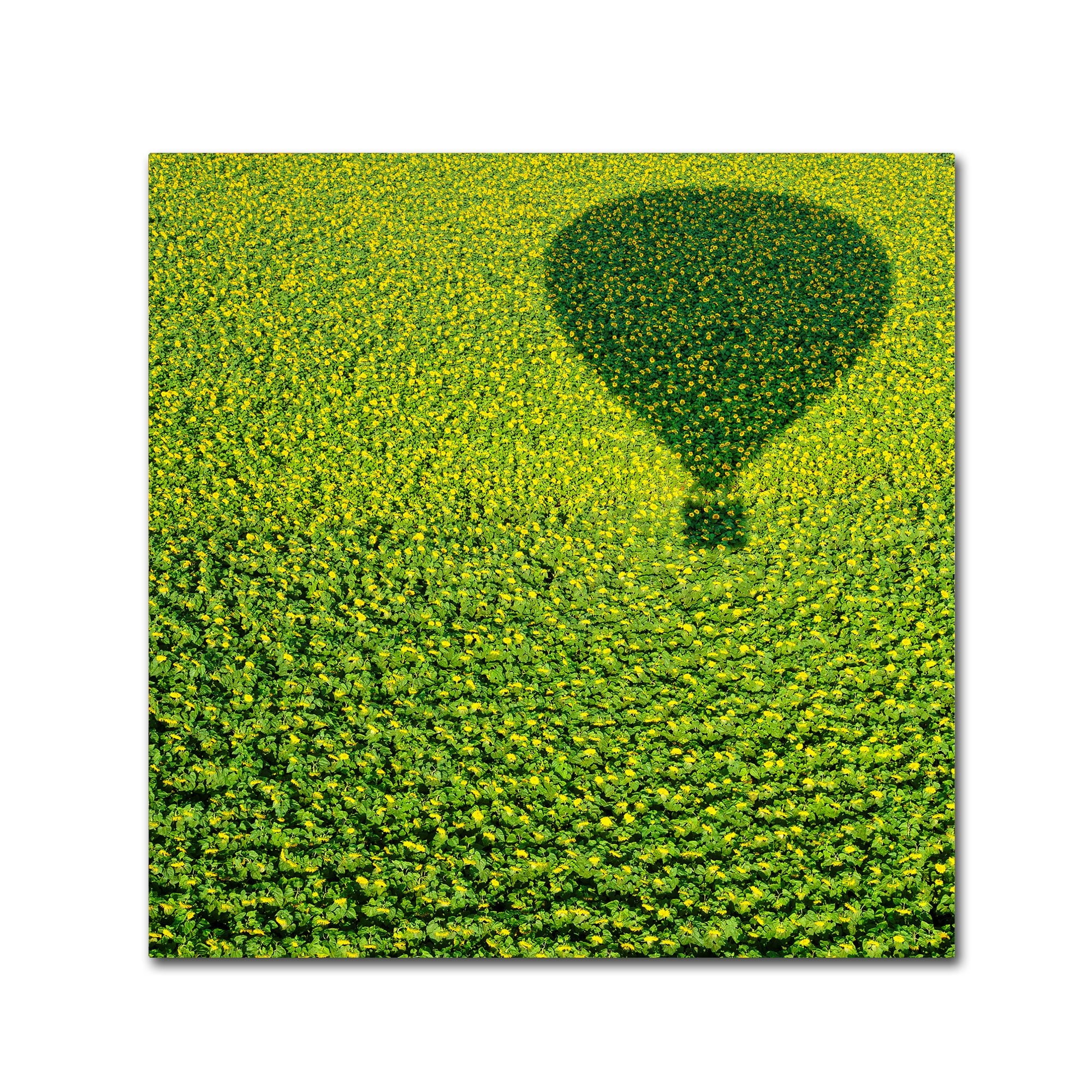 Avi Revivo 'A Hundred Million Suns' Canvas Art