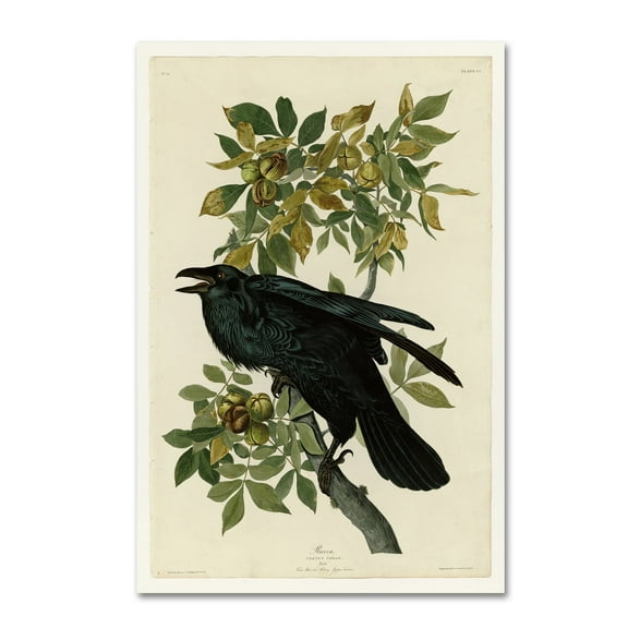 Audubon 'Ravenplate 101' Canvas Art
