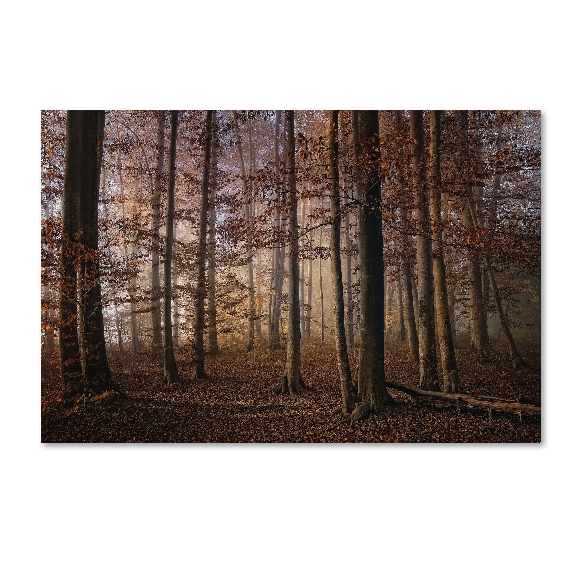 Norbert Maier 'Autumn' Canvas Art