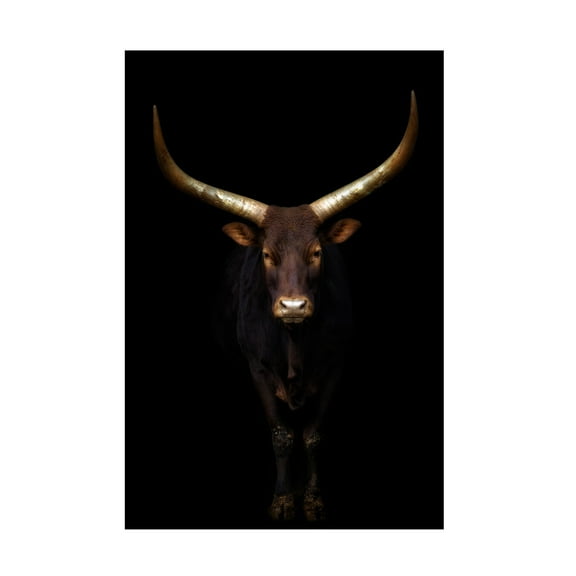 Sergio Saavedra Ruiz 'Intimate' Canvas Art