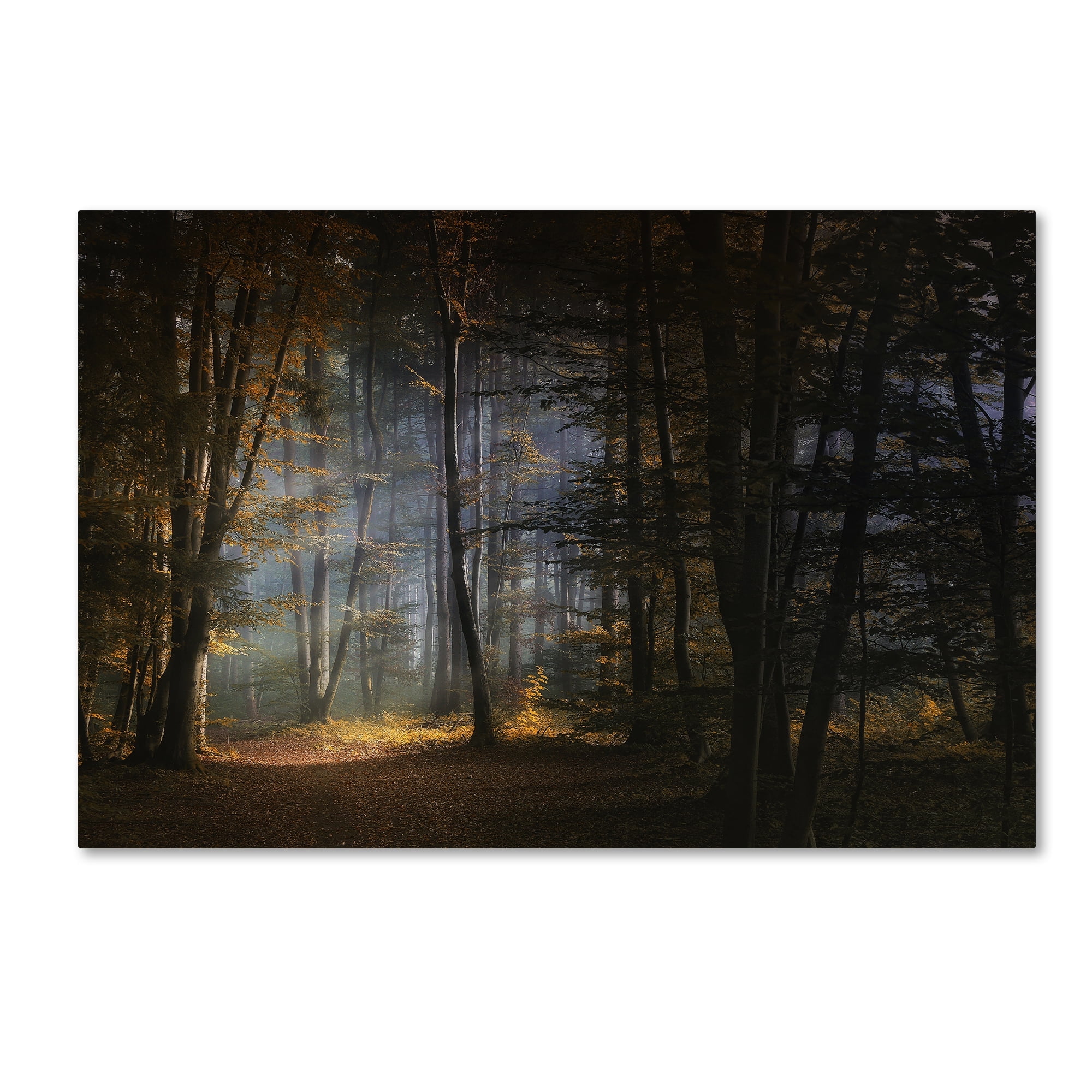 Norbert Maier 'November Morning' Canvas Art