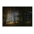 thumbnail image 1 of Norbert Maier 'November Morning' Canvas Art, 1 of 3