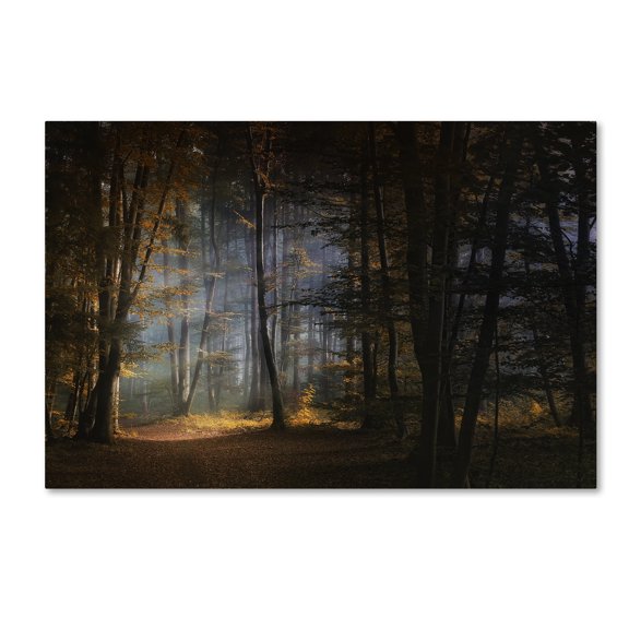 Norbert Maier 'November Morning' Canvas Art