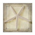 thumbnail image 1 of LightBoxJournal 'Starfish' Canvas Art, 1 of 4