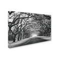 thumbnail image 1 of Wormsloe Inf Light' Canvas Art by Mike Jones Photo, 1 of 3