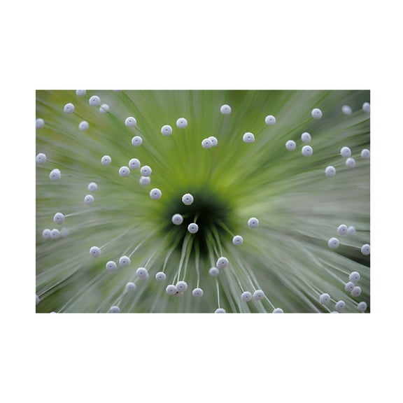 Wave Faber 'Green And White Ii' Canvas Art