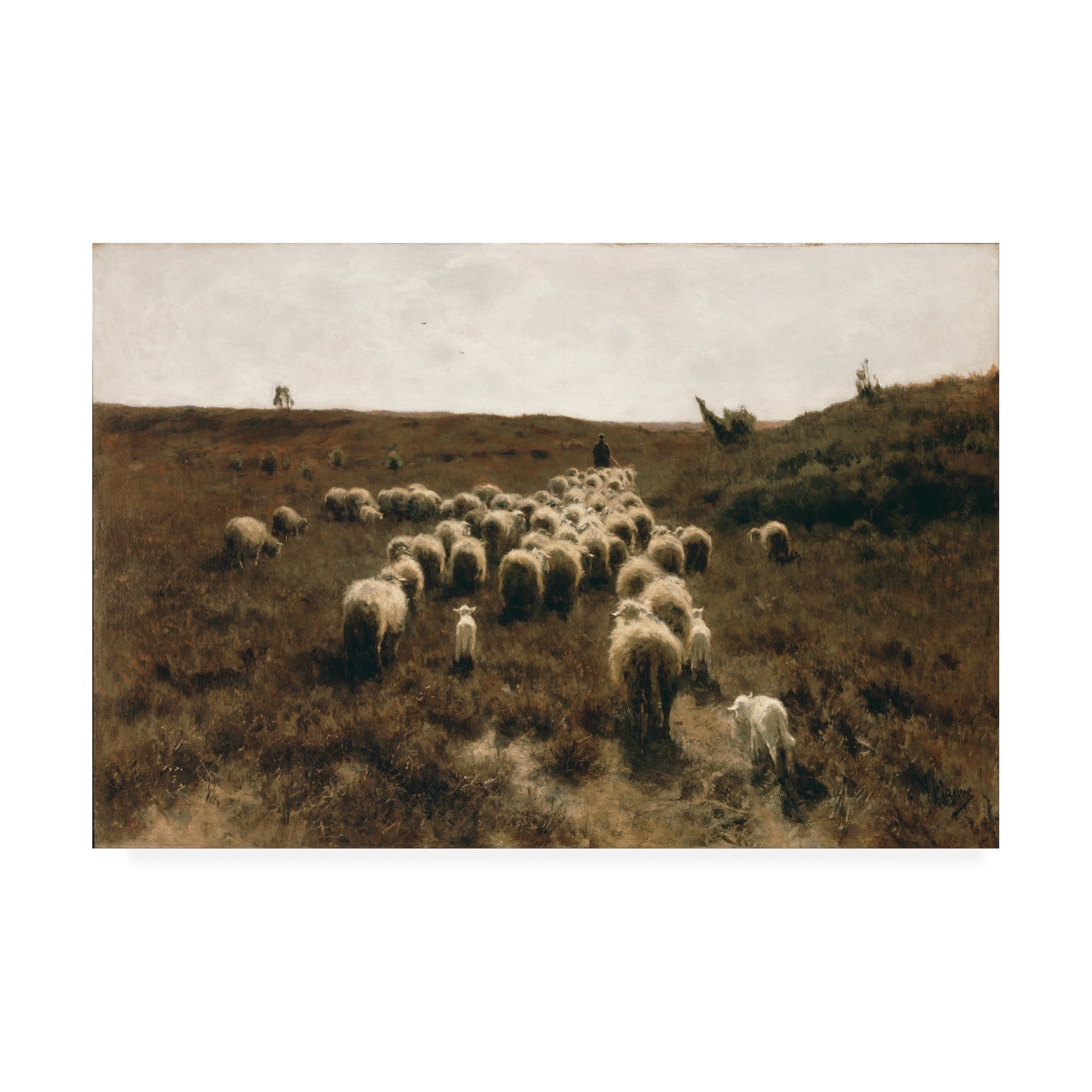 Anton Mauve 'The return of the Flock' Canvas Art